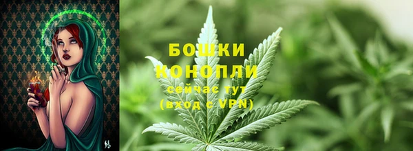 трава Богданович