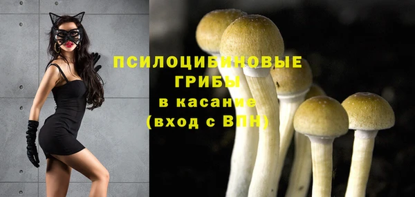mdpv Беломорск