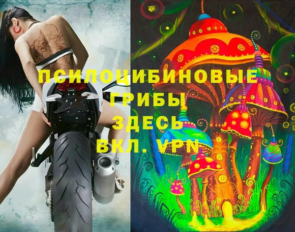 прущая мука Белокуриха