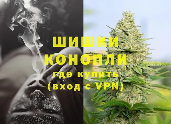 трава Богданович