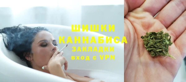 PSILOCYBIN Белоозёрский
