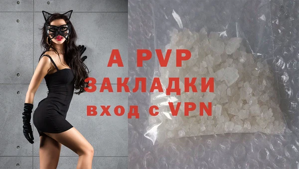 PSILOCYBIN Белоозёрский