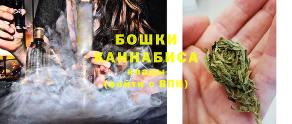 PSILOCYBIN Белоозёрский