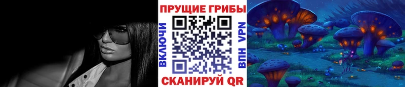 ОМГ ОМГ   Павловск  Псилоцибиновые грибы Psilocybine cubensis 