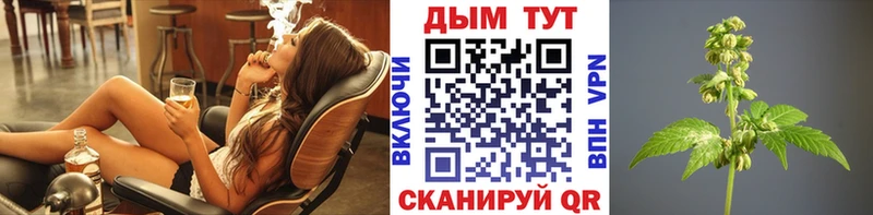 Конопля THC 21%  закладки  Павловск 